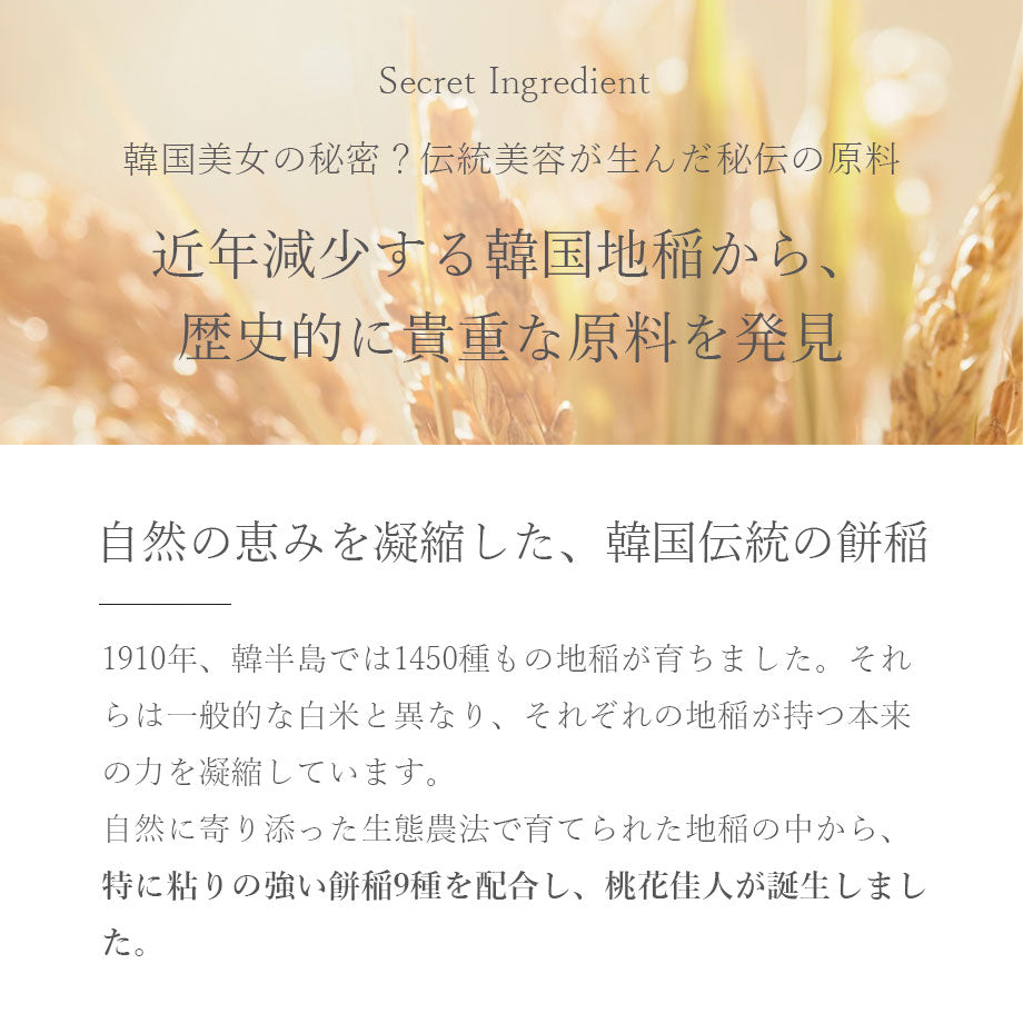 House of Dohwa 米マスクパック