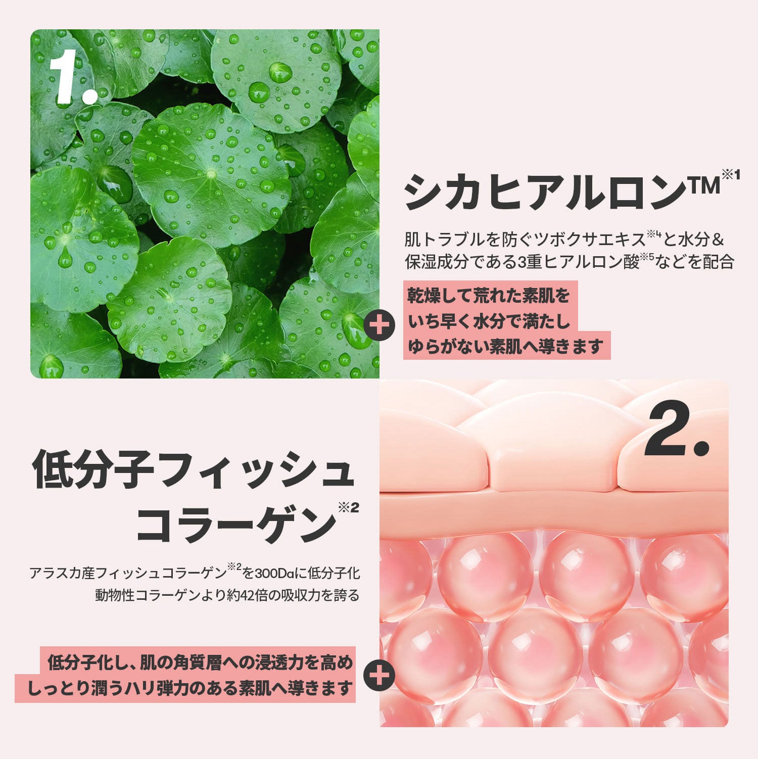 VT Cosmetics CICAコラーゲンクリーム