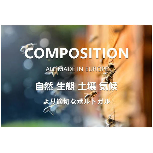 POSITIVE HOTEL グッドイン・バッドアウト・エッセンシャル