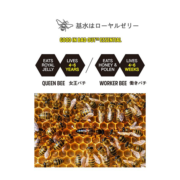 POSITIVE HOTEL グッドイン・バッドアウト・エッセンシャル