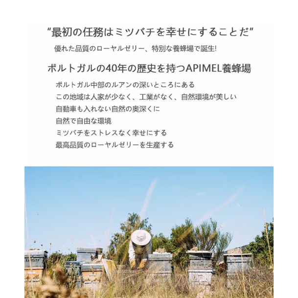 POSITIVE HOTEL グッドイン・バッドアウト・エッセンシャル