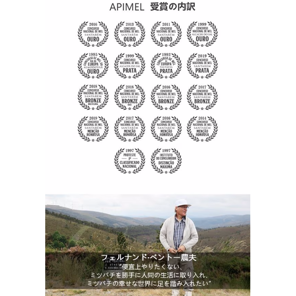 POSITIVE HOTEL グッドイン・バッドアウト・エッセンシャル