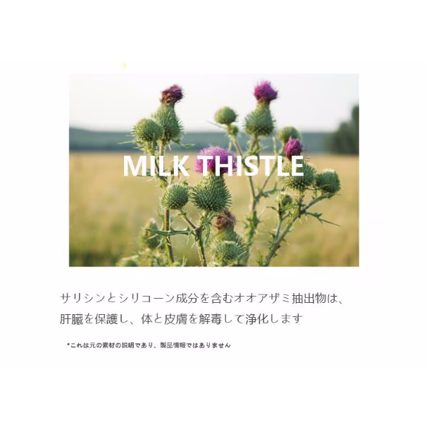 POSITIVE HOTEL グッドイン・バッドアウト・エッセンシャル