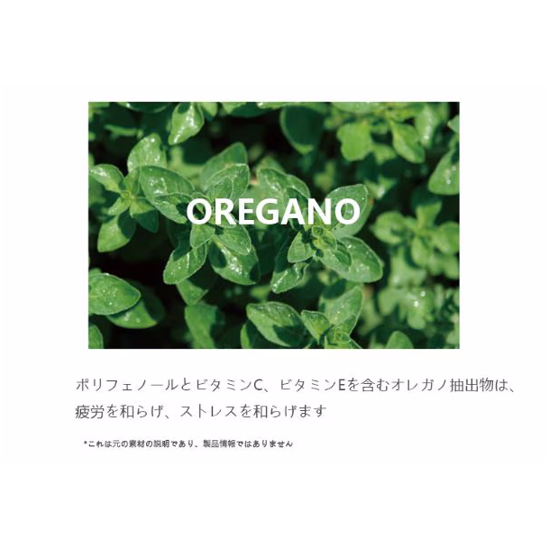 POSITIVE HOTEL グッドイン・バッドアウト・エッセンシャル