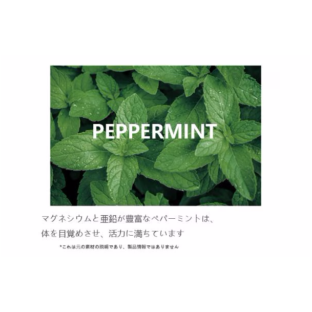 POSITIVE HOTEL グッドイン・バッドアウト・エッセンシャル