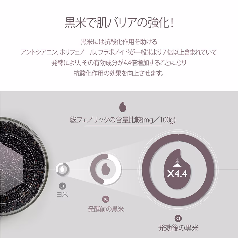 Haruharu Wonder ブラックライスヒアルロニックトナー