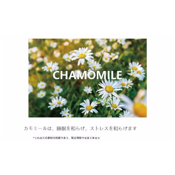 POSITIVE HOTEL グッドイン・バッドアウト・エッセンシャル