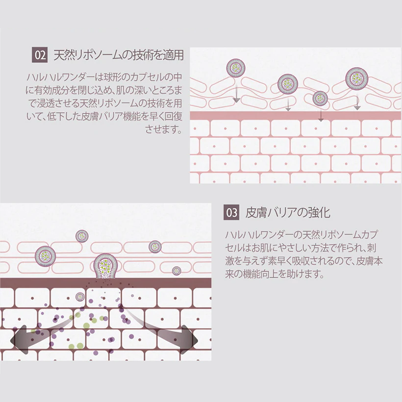 Haruharu Wonder ブラックライスヒアルロニックトナー