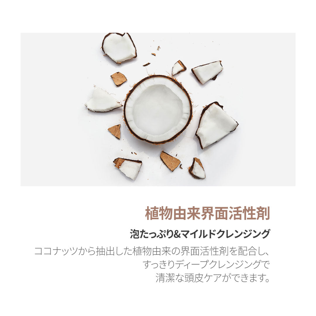 KUNDAL ハニー&マカデミア ネイチャーシャンプー|イングリッシュローズ