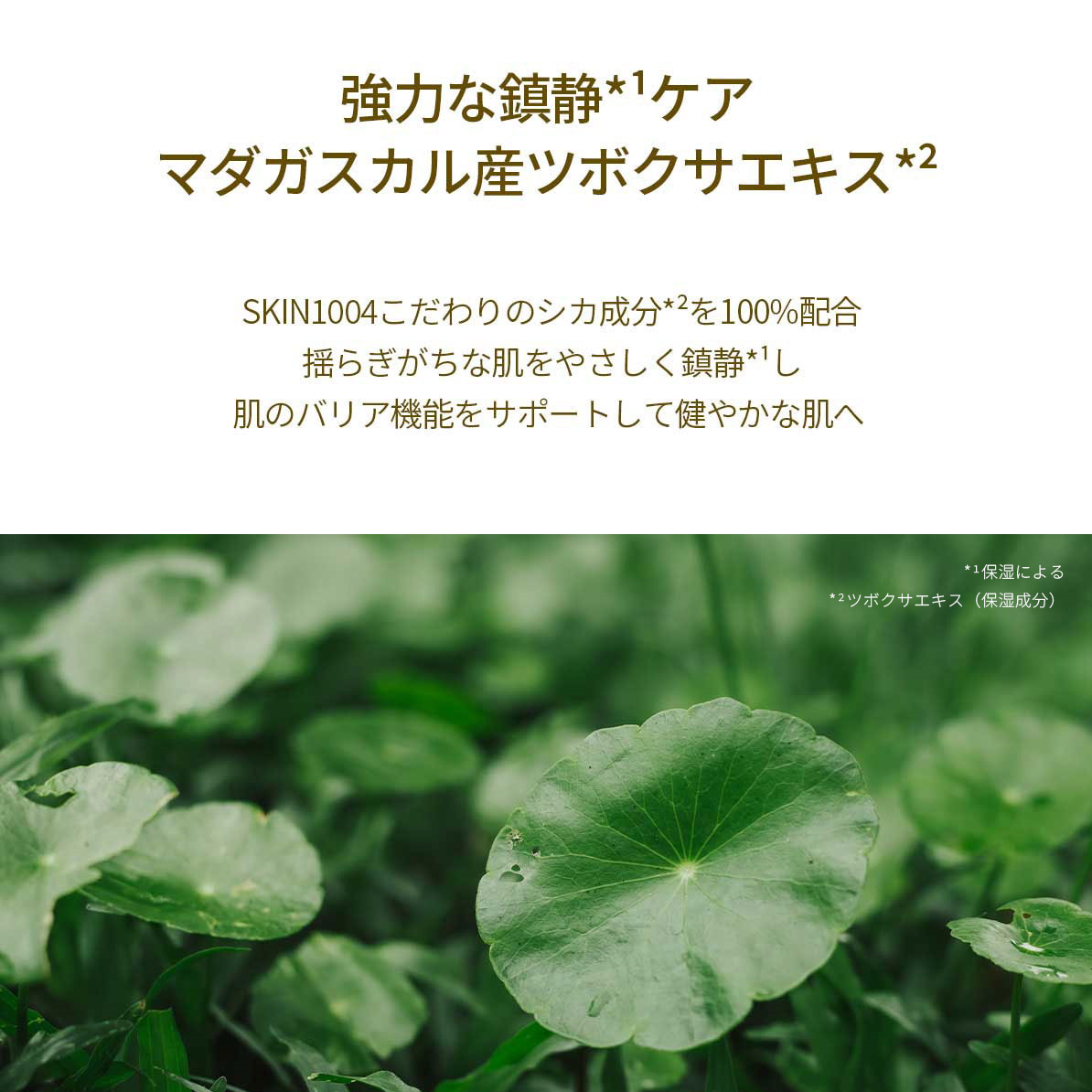 SKIN1004 マダガスカルセンテラアンプル｜30ml