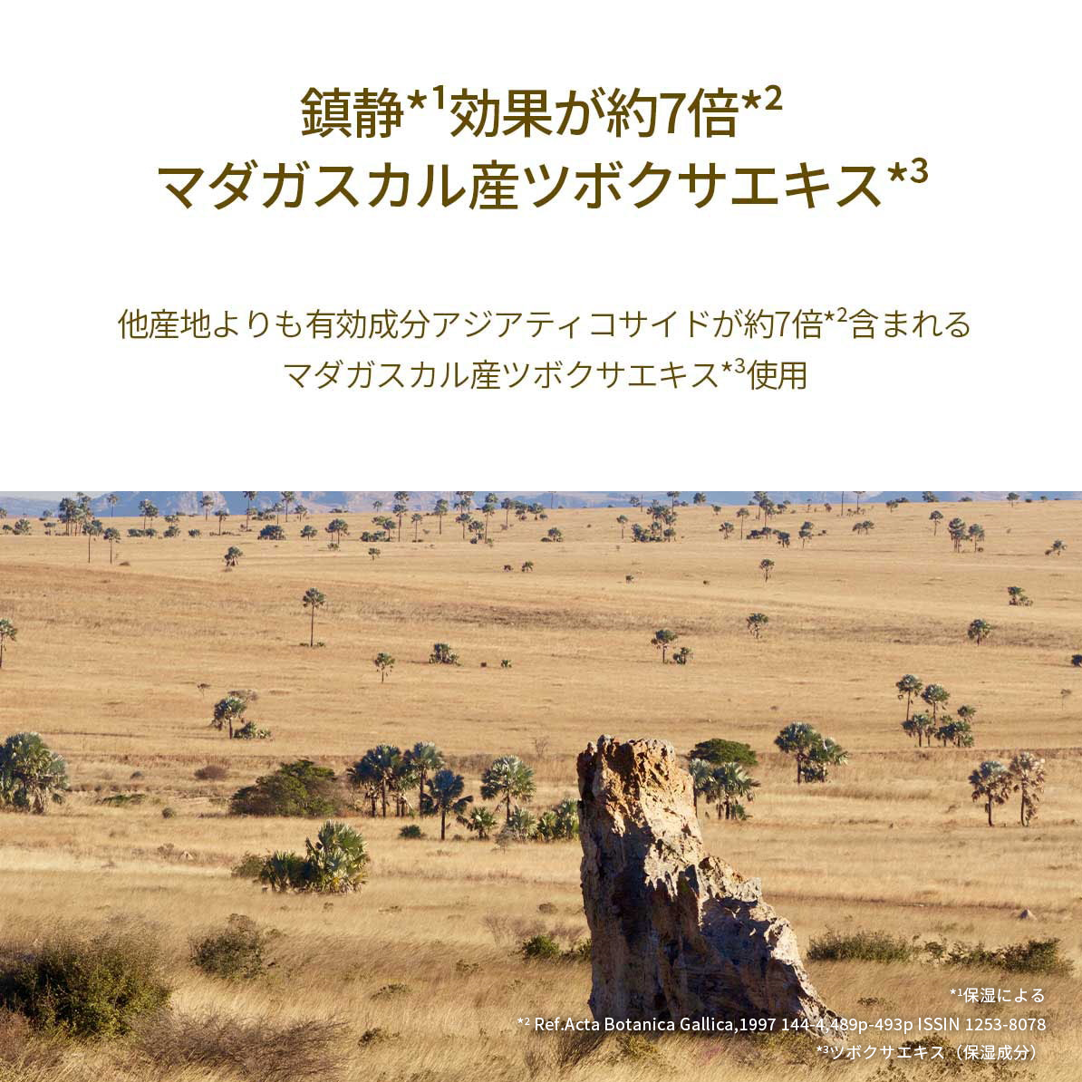 SKIN1004 マダガスカルセンテラアンプル｜30ml